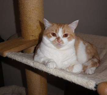 Judy Jan. 2017-IMGP0574